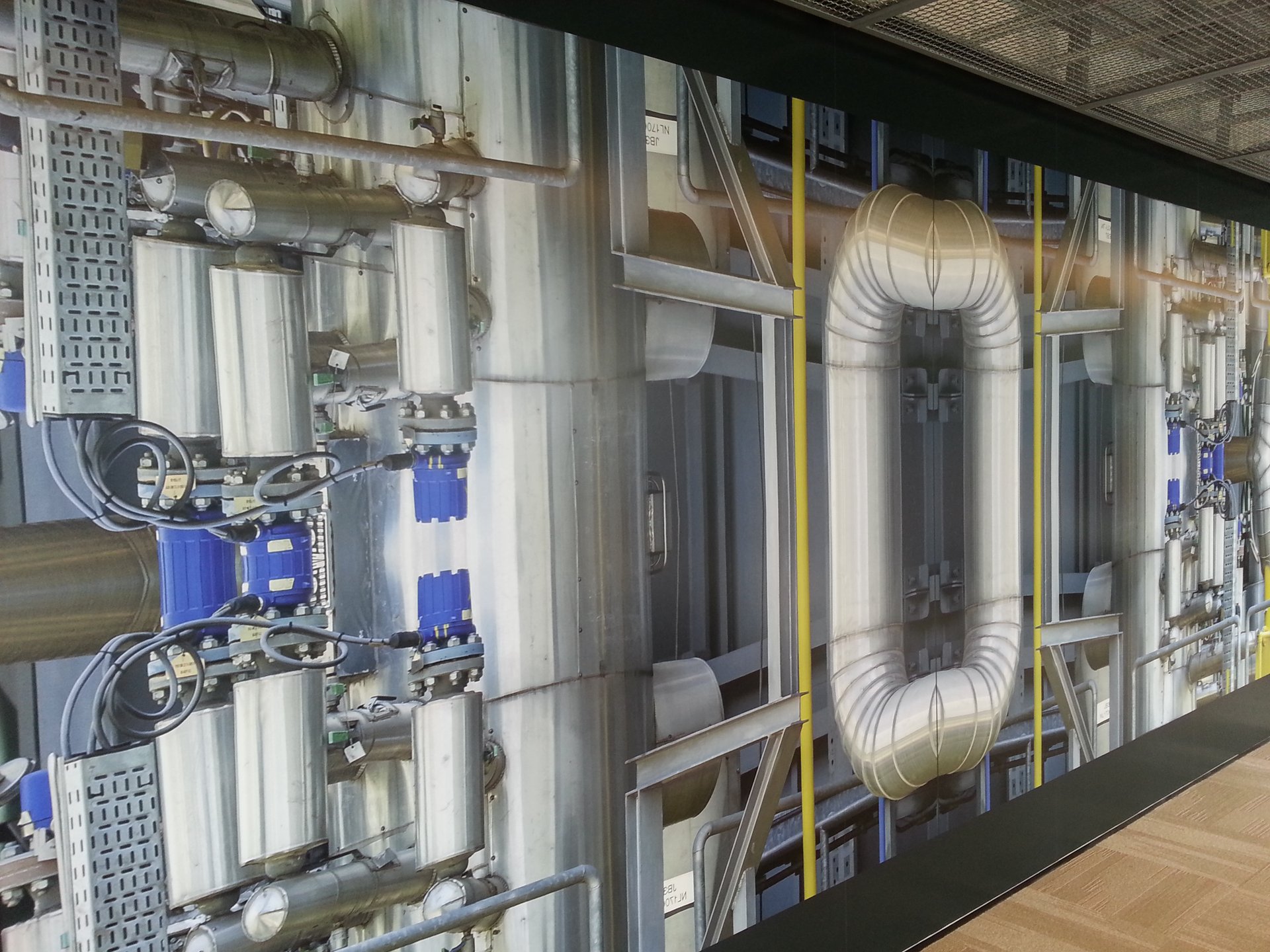 Interior Wall Graphics